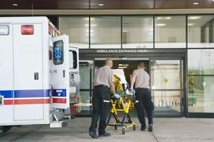 Bed Bug Treatments for Emergency Vehicles, Hospitals and More